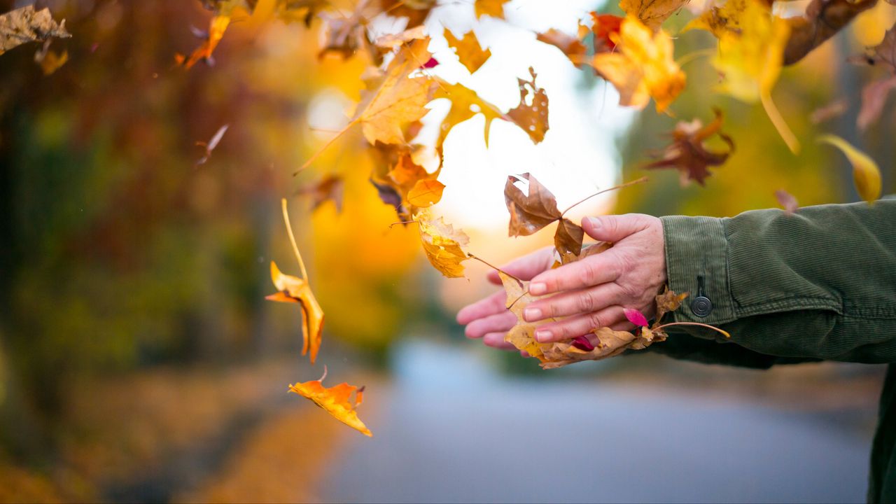 برترین تصاویر پس زمینه (۲ دی)