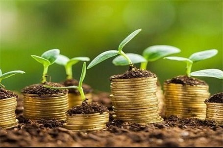 باغداران برای خرید پوشش بیمه‌ای اقدام کنند