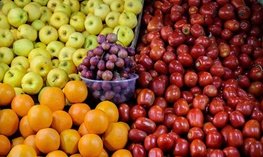 تداوم عرضه میوه شب عید در آذربایجان شرقی
