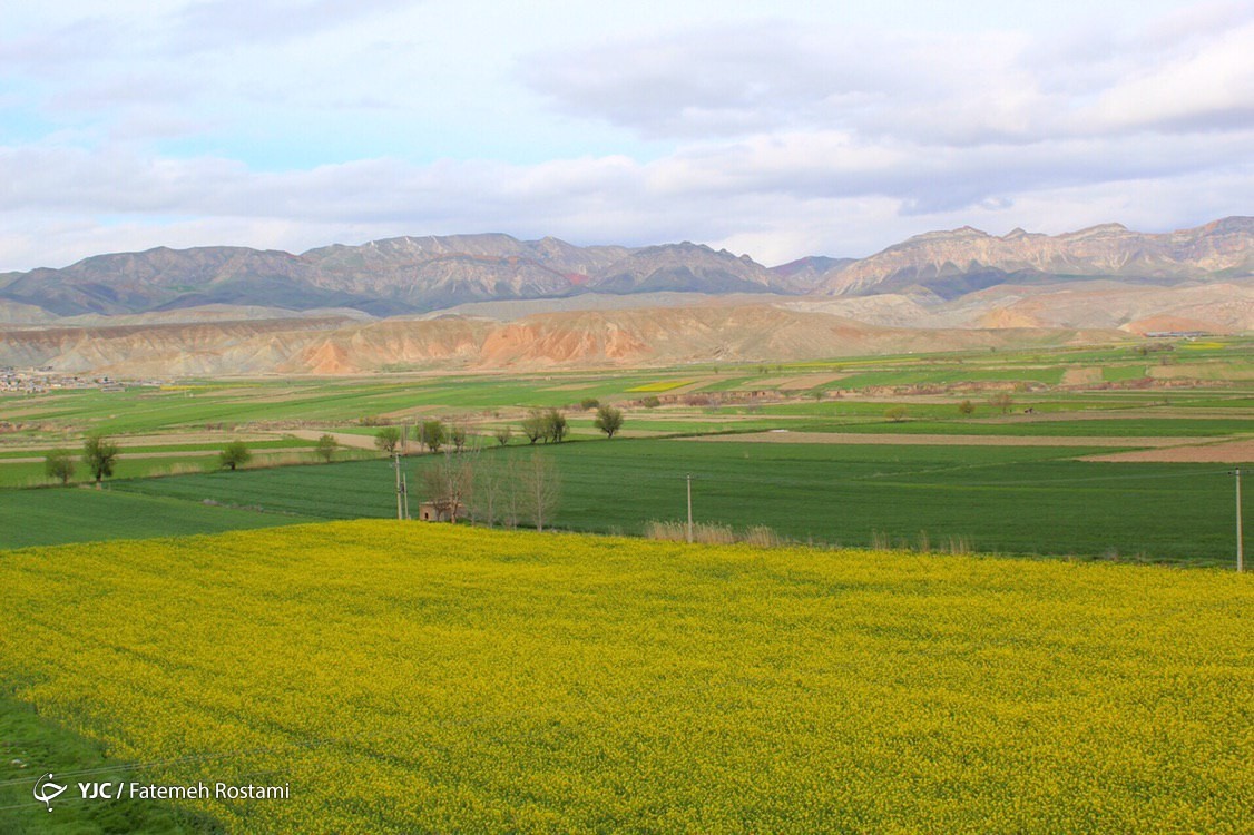 فرش زیبای بهار در طبیعت خراسان شمالی
