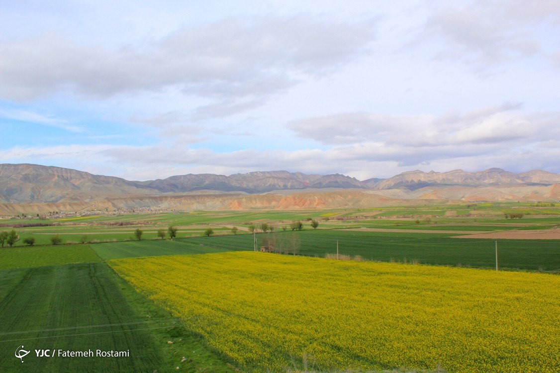 فرش زیبای بهار در طبیعت خراسان شمالی