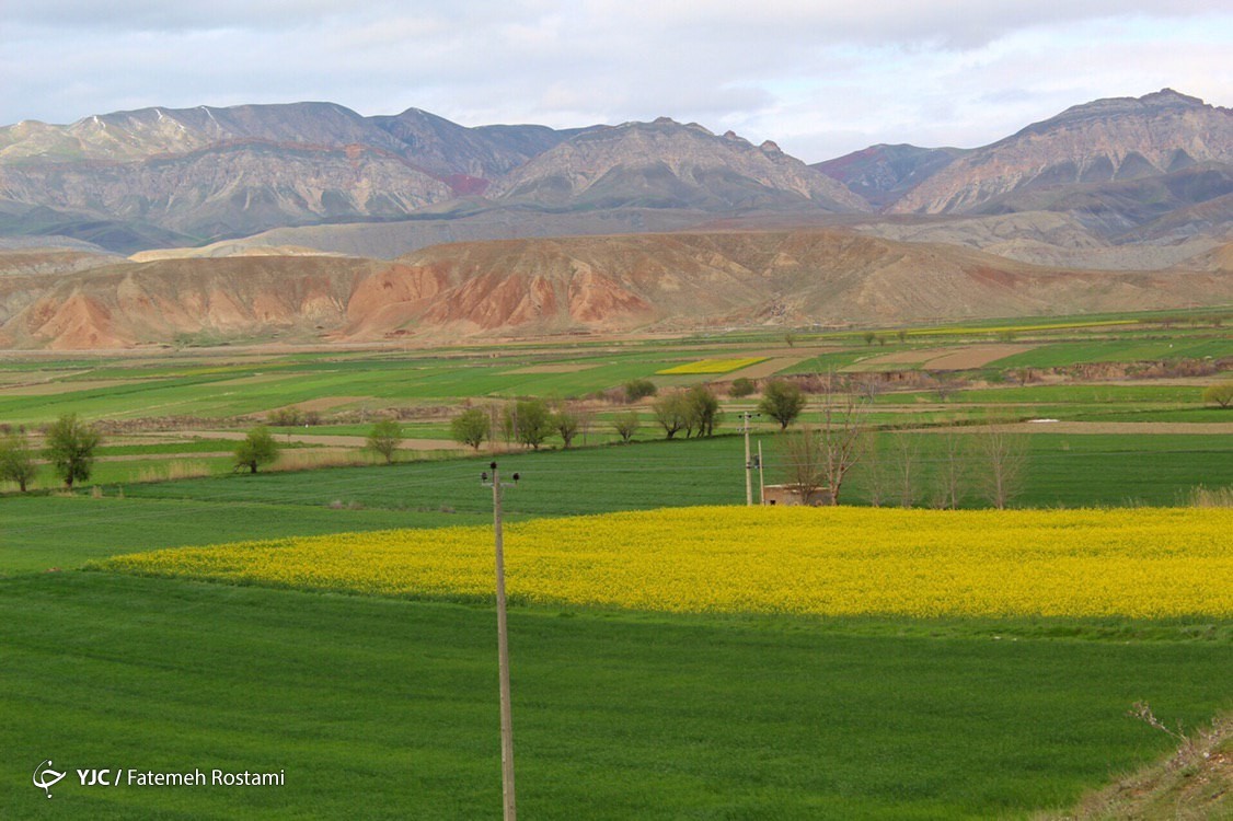فرش زیبای بهار در طبیعت خراسان شمالی