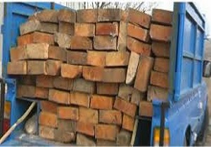 کشف و ضبط ۵۴ اصله چوب و الوار قاچاق در شهرستان نیر
