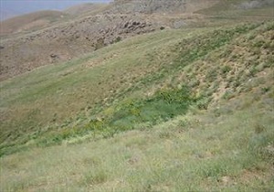 تجهیز بیمارستان‌های بندرماهشهر با کمک صنایع پتروشیمی