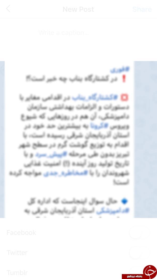 تاثیرپذیری اقتصاد ایران از شایعات فضای مجازی / شایعه خروج گوشت گرم از کشتارگاه&zwnj;ها چه بود؟