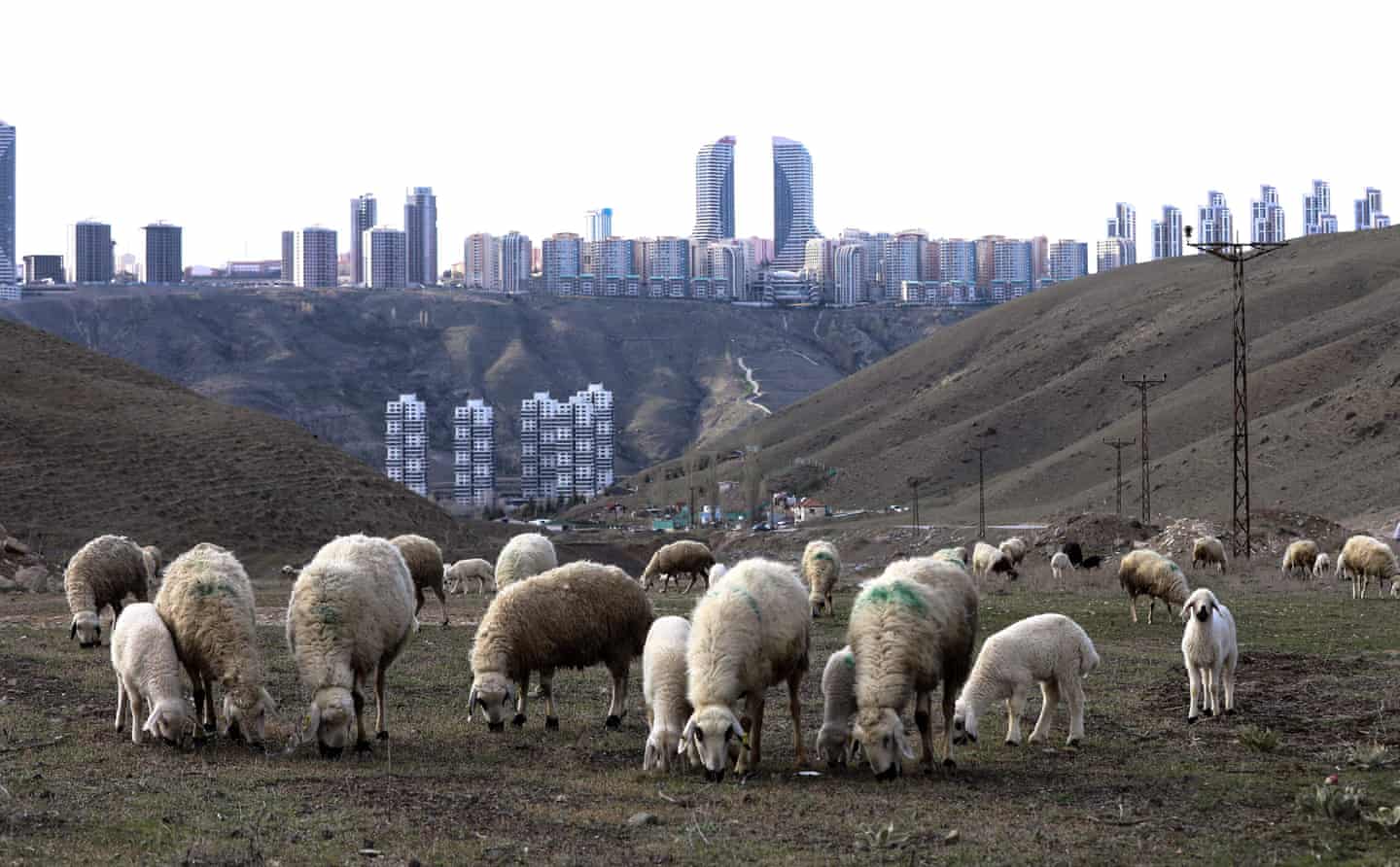 تصاویر روز: از گندزدایی مسافران در اندونزی تا استفاده از ربات&zwnj;ها برای تحویل مواد غذایی خریداری شده در واشنگتن
