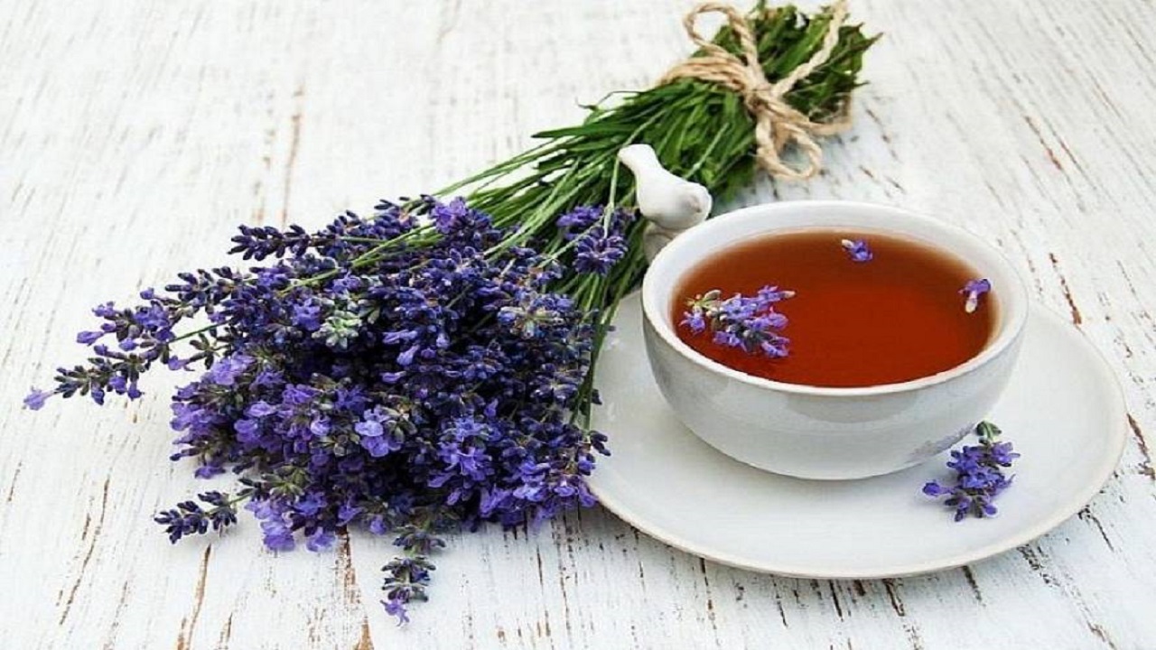 برای پیشگیری از کرونا دمنوش گل گاوزبان مصرف کنید
