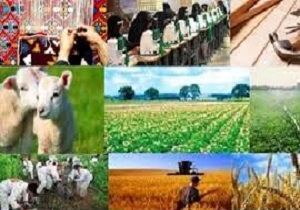 ۳۲۷ میلیارد تومان وام ارزان اشتغال در لرستان پرداخت و عقد قرارداد شده است