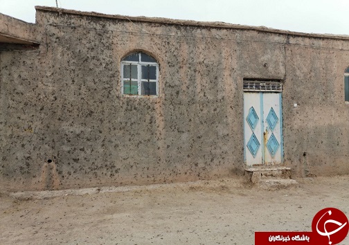 هجوم  ملخ ها به مناطق خراسان جنوبی