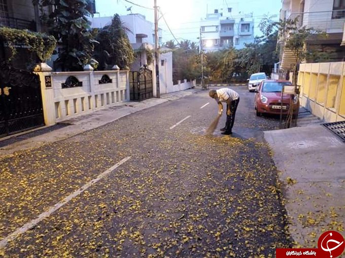 اقدام جالب یک وزیر محلی در هند//