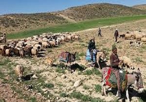 ورود عشایر کوچ رو به مراتع لرستان ممنوع شد