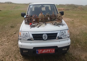 دستگیری متخلفان زنده گیری پرنده در دزفول