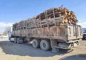 توقیف ۵۰ اصله چوب آلات و ۵ تن هیزم قاچاق جنگلی در استان اردبیل
