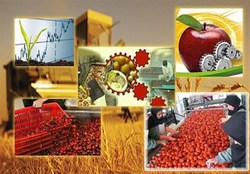 رشد ۳۰ درصدی واحد&zwnj;های صنایع تبدیلی و غذایی آذربایجان&zwnj;شرقی