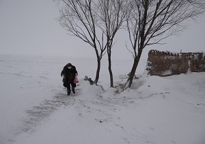دانه پاشی برای پرندگان در شهرستان سرعین