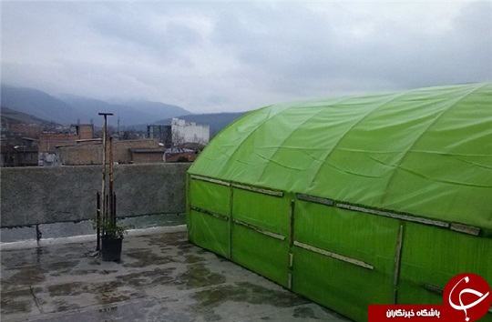 گلخانه در پشت بام، باغچه&zwnj;ای کوچک بر بام خانه