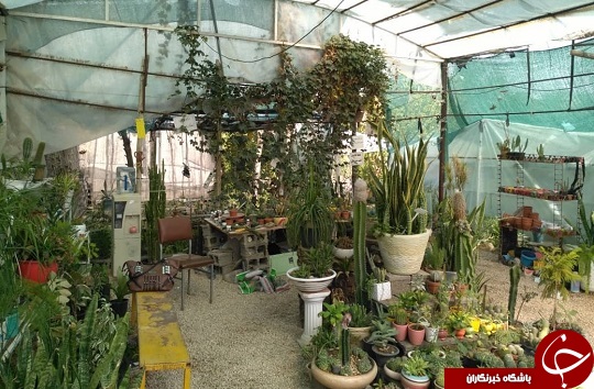 گلخانه در پشت بام، باغچه&zwnj;ای کوچک بر بام خانه