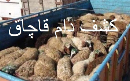 توقیف کامیون حامل احشام قاچاق در کبودرآهنگ