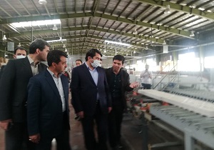 ویروسی که ظرفیتهای نهفته را شکوفا کرد ویروسی که ظرفیتهای نهفته را شکوفا کرد