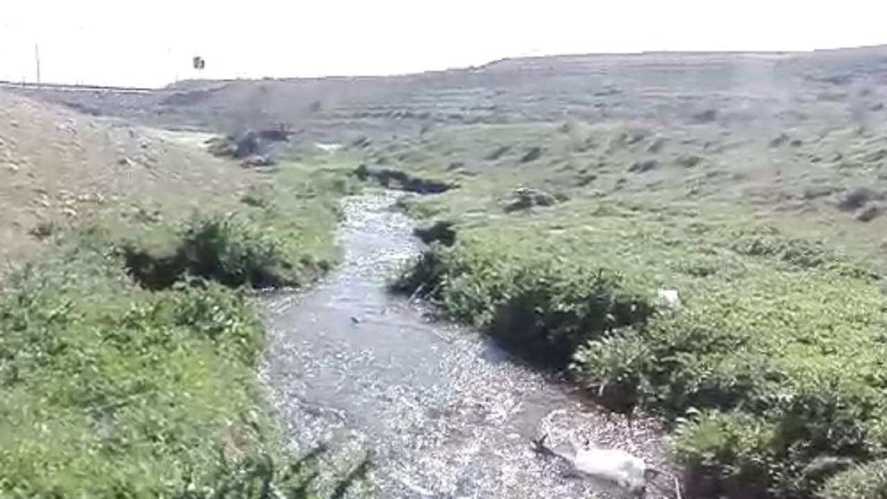 صحنه زیبا از جان گرفتن چشمه در بخش کهک قم + فیلم