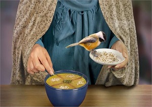 اجرای طرح هم‌سفره در استان یزد