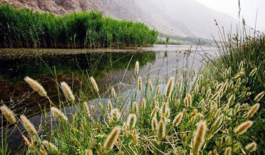 زیر ساختهای گردشگری تالاب پیرسلمان اسد آباد تقویت می شود