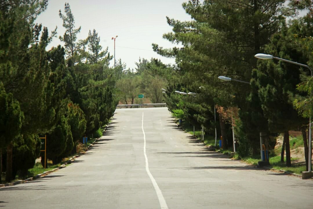 ۵۰ پارک در زاهدان بهسازی و ساخته می‌شود
