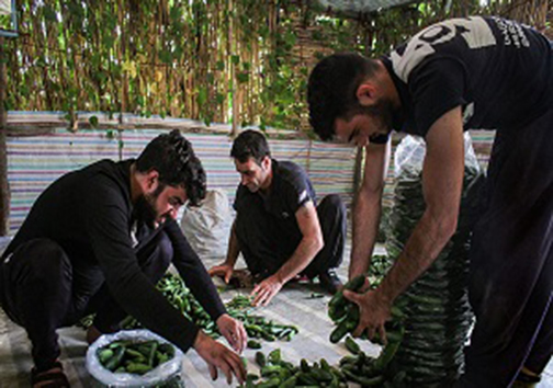 شهر بدون کرونا کجاست؟/ افتتاح بزرگترین مجتمع تولید ماسک/
