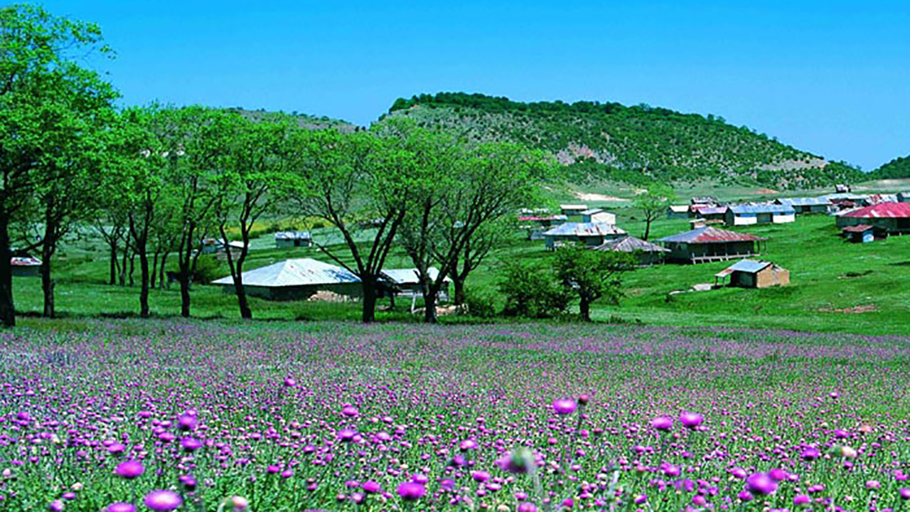 استقرار جو آرام در گلستان