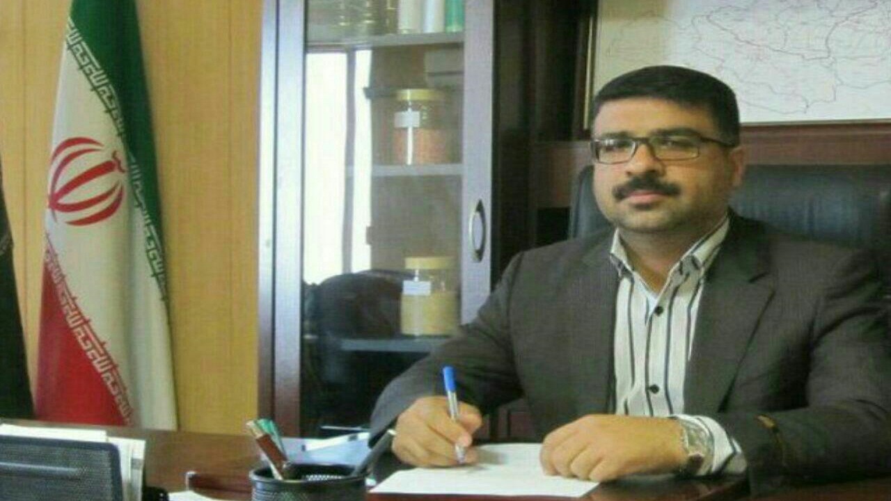 افزایش ۴۸ درصدی بارندگی سال زراعی استان قزوین