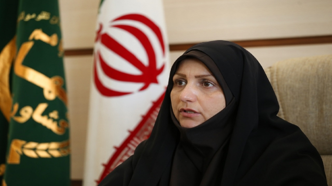 تگرک و سرما دو هزار و ۸۹۰ میلیارد ریال به محصولات کشاورزی خسارت زد