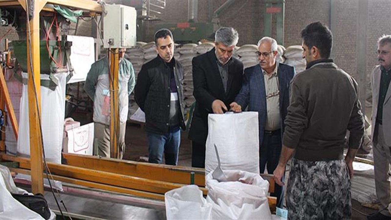 تعاون روستایی مازندران از موسسات مهم کشور در تامین بذور اصلاح شده