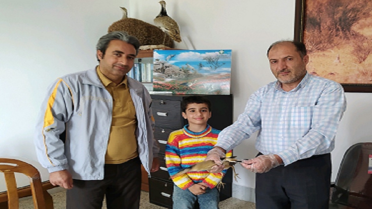 رهاسازی یک قطعه بوتیمار در قاین