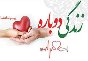 اهدای عضو جوان مرگ مغری در هرمزگان