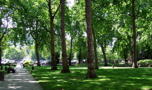 افزایش سرانه فضای سبز در کرمان