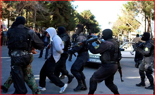 جان تازه سد&zwnj;ها از بارش باران/غذاهایی که در افزایش قد تاثیرگذارند/ کلزا بکارید و نان در روغن بزنید