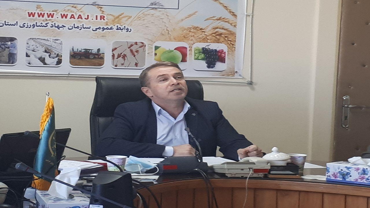 بیش از ۷۳۰هزارتن انواع غلات در آذربایجان غربی تولید می‌شود