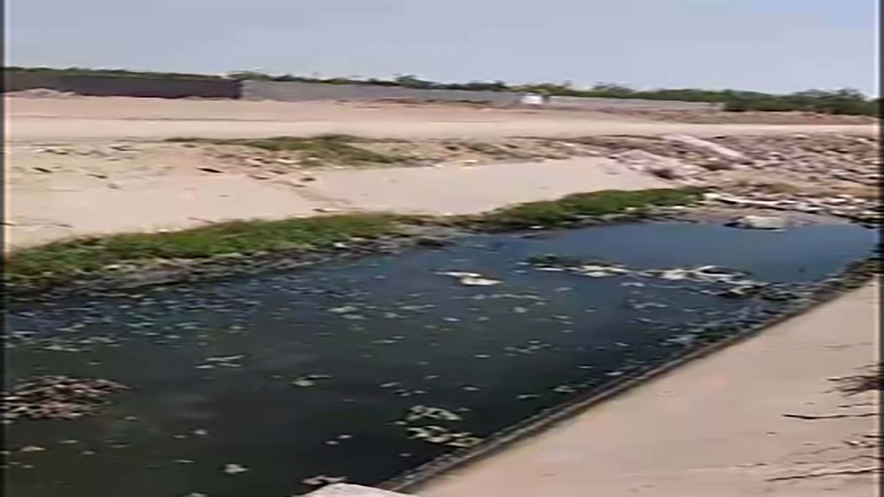 گلایه از وضع نامناسب کانال فاضلاب در گلدشت + فیلم