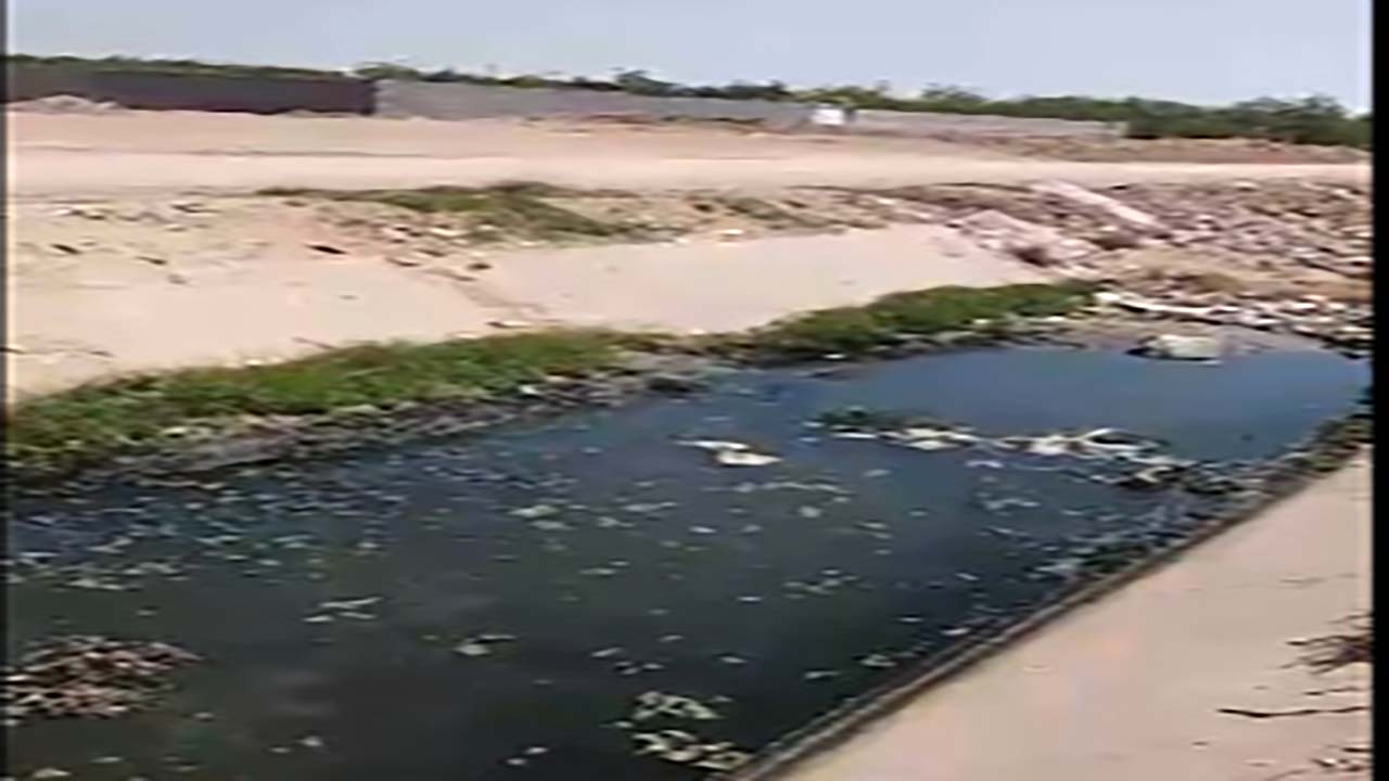 از