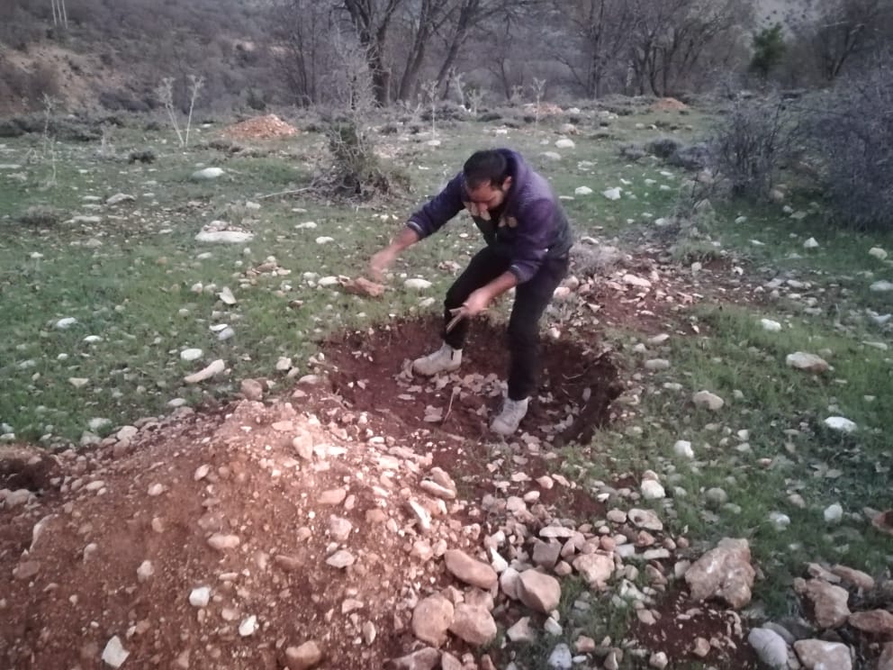رفع تصرف اراضی جنگلی در ممسنی