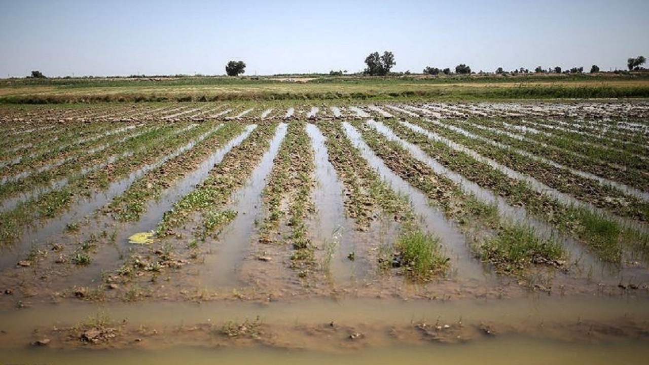 خسارت بیش از ۵ میلیارد تومان به  بخش کشاورزی شهرستان طبس