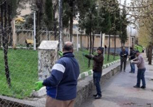 نصب تور سیمی در محوطه پارک جنگلی مهاباد