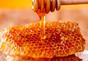 افزایش ۲۰ درصدی تولید عسل در خلخال