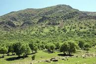 احیای اراضی جنگلی و مرتعی در خرامه