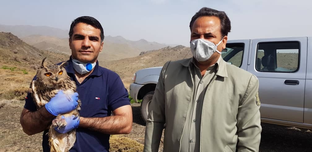 از کشتن قوچ وحشی تا نجات شاه بوف