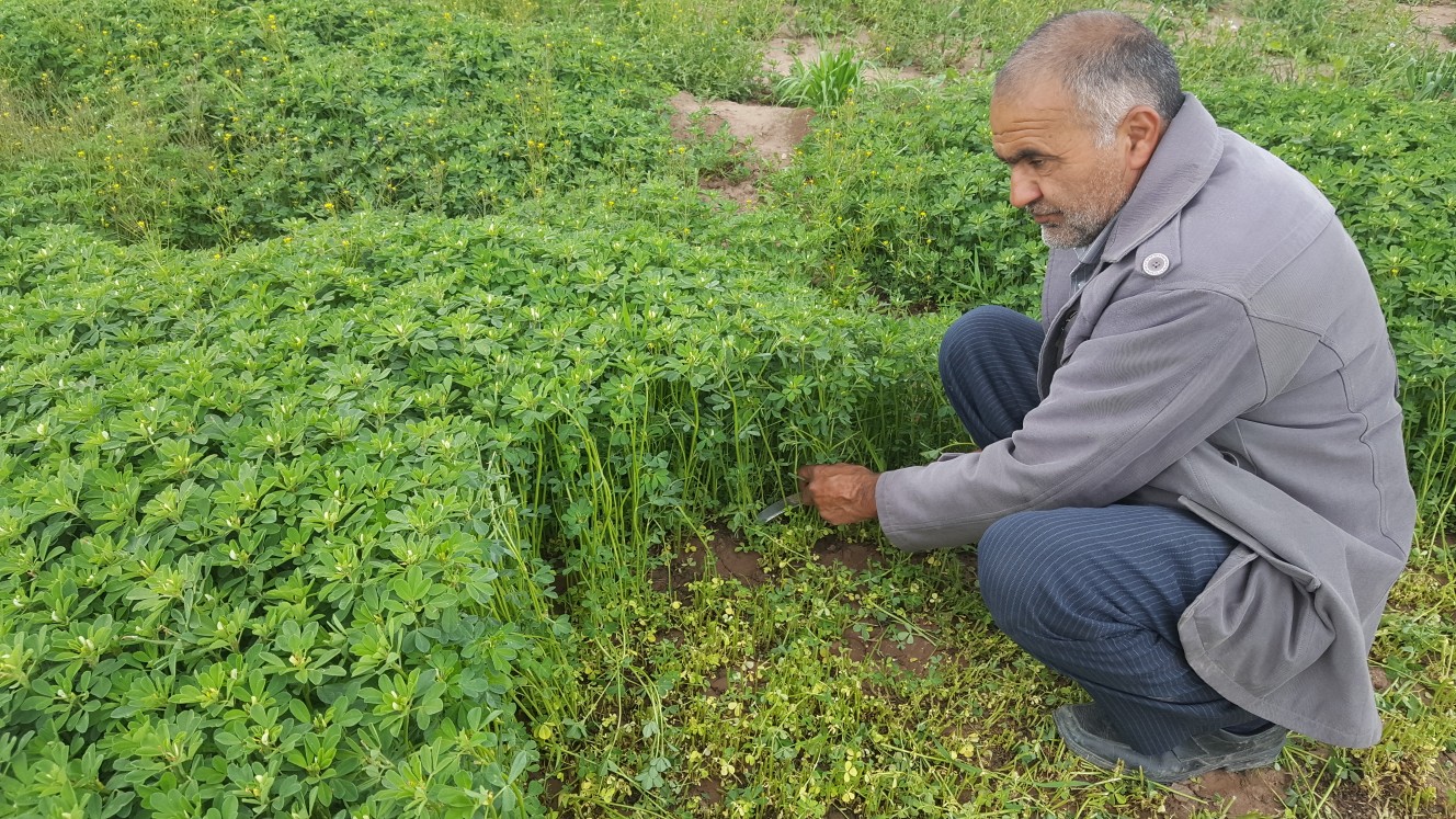 خودکفایی ارمغان روزهای در خانه ماندن