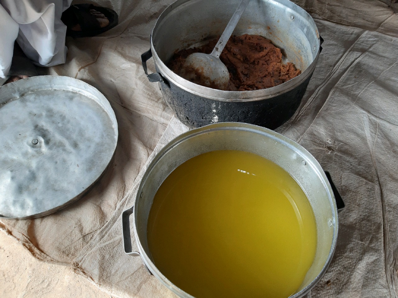 تلاش و شور زندگی در دشت های ریگان