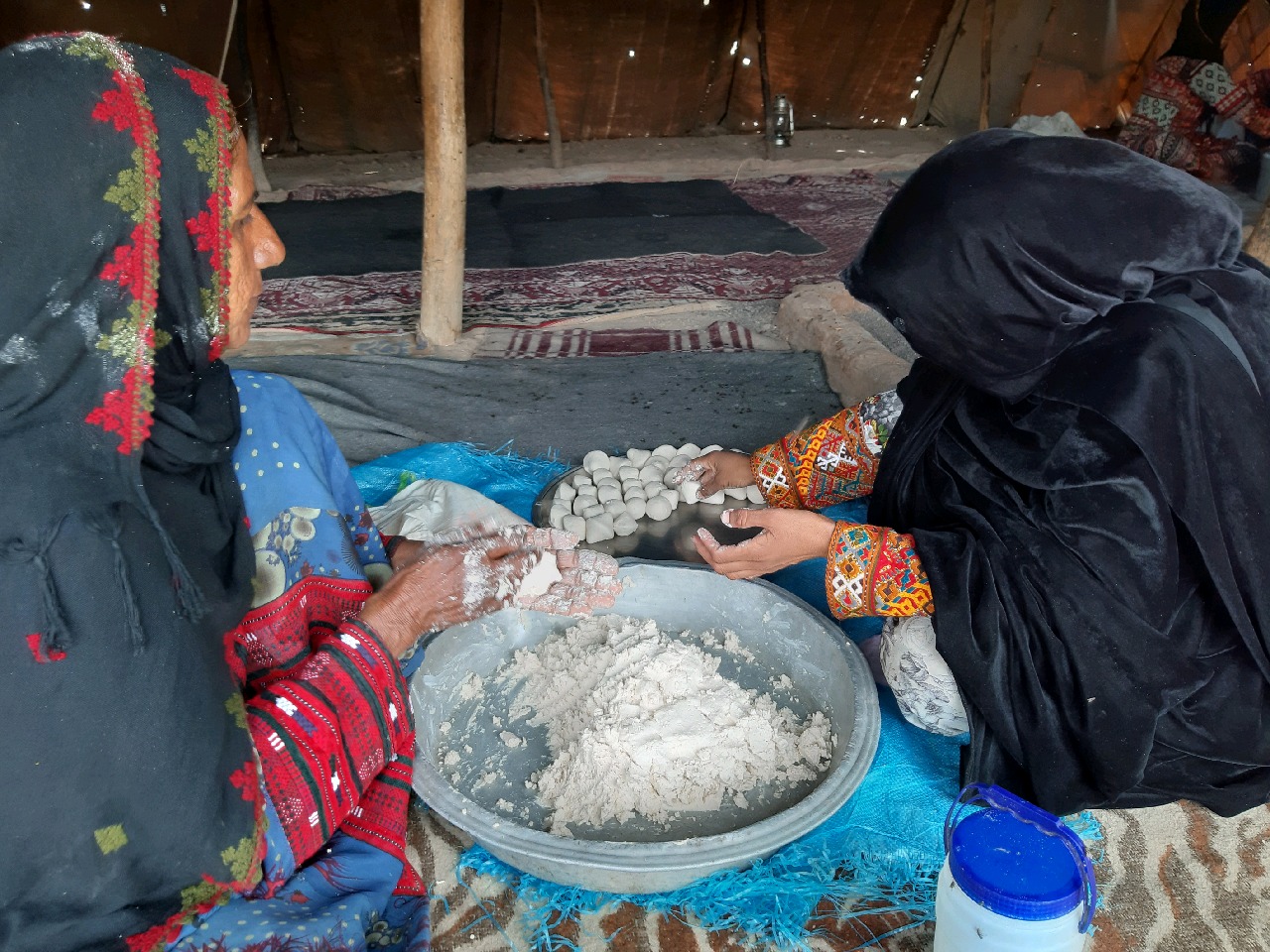 تلاش و شور زندگی در دشت های ریگان