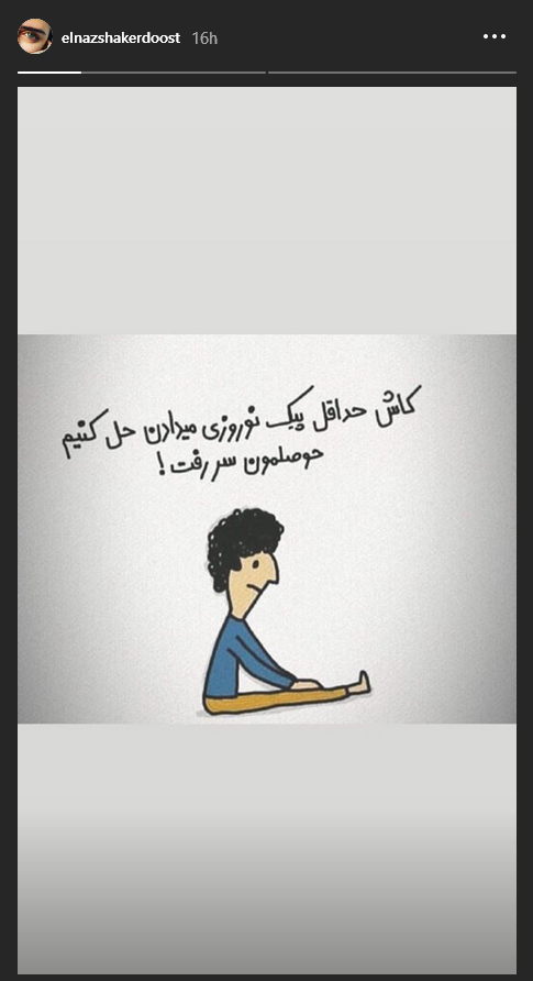اولین ویدئوی مشترک ریحانه پارسا و مهدی کوشکی در سال جدید ؛ عکس خونوادگی خانم بازیگر کنار هفت سین