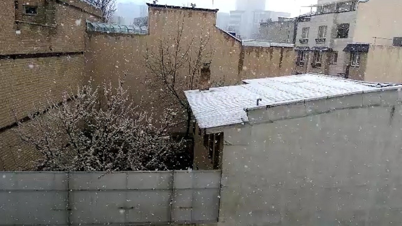 بارش برف در همدان + فیلم